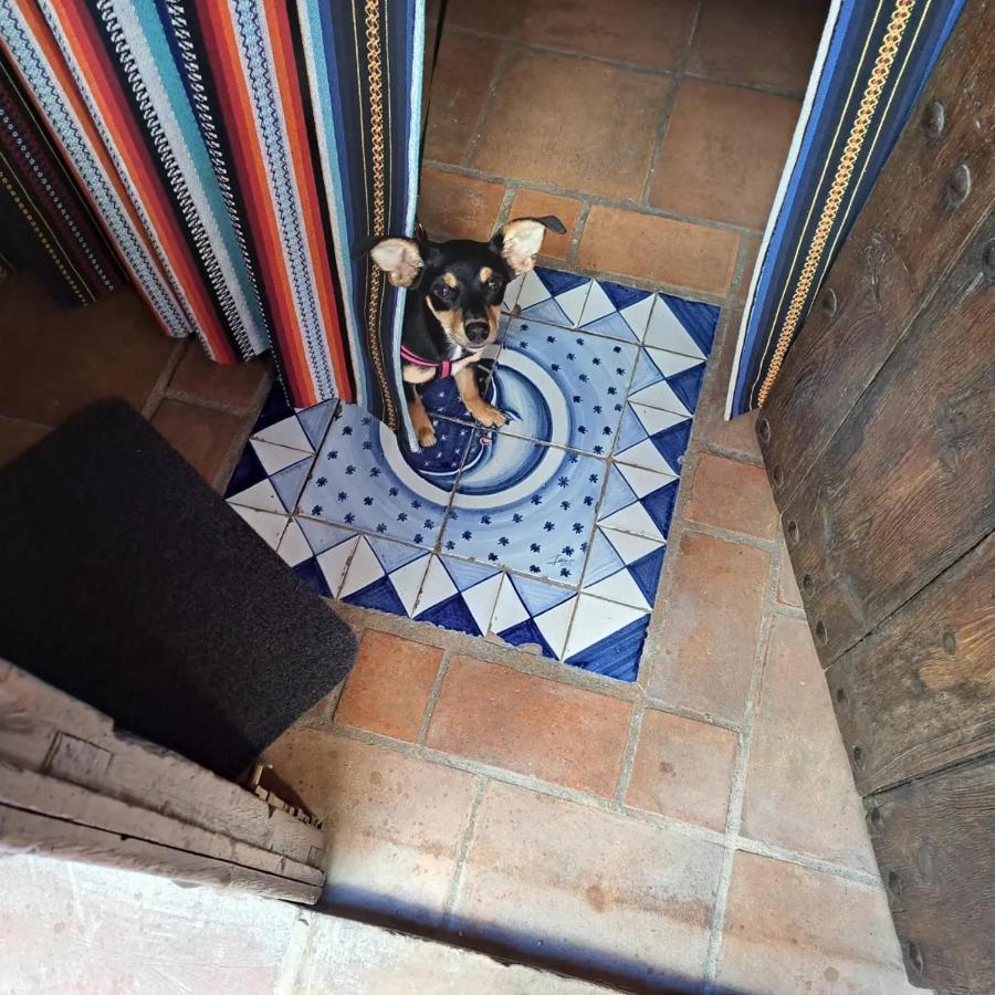 Can Lluna Tu Casa Zen Tárbena Buitenkant foto