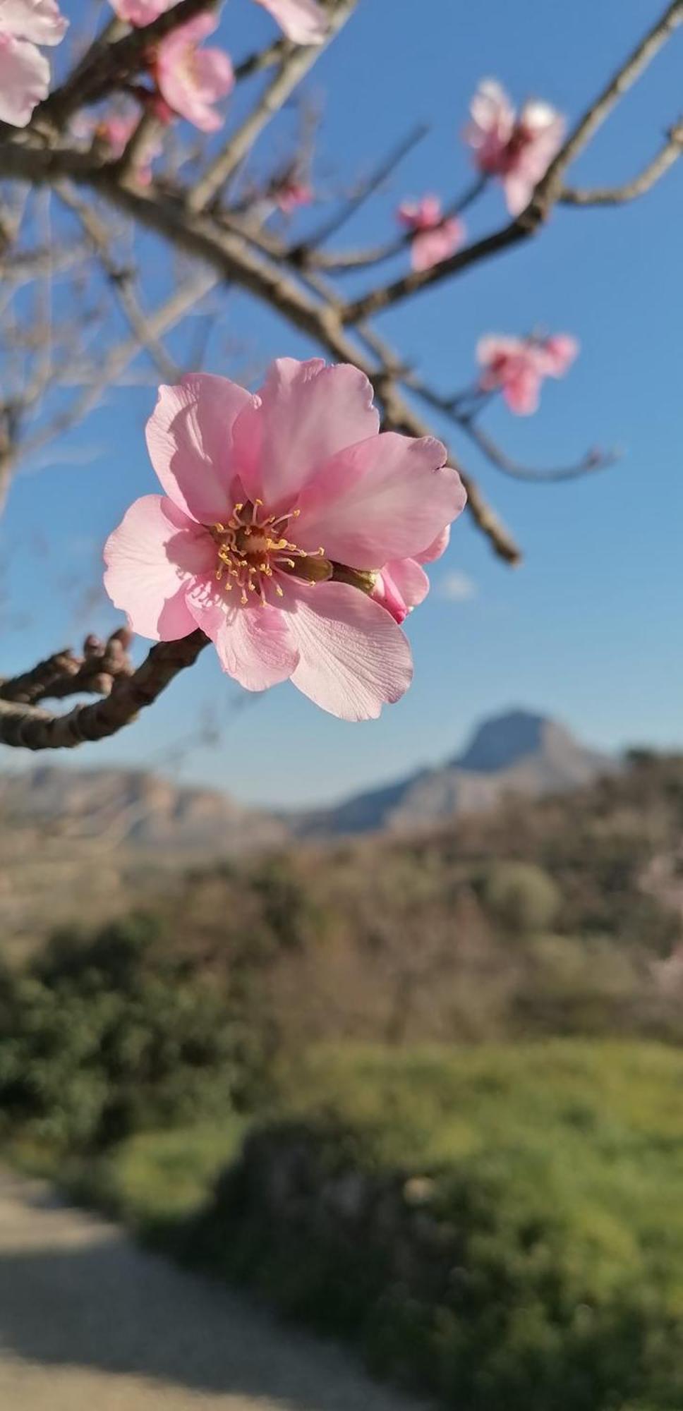 Can Lluna Tu Casa Zen Tárbena Buitenkant foto